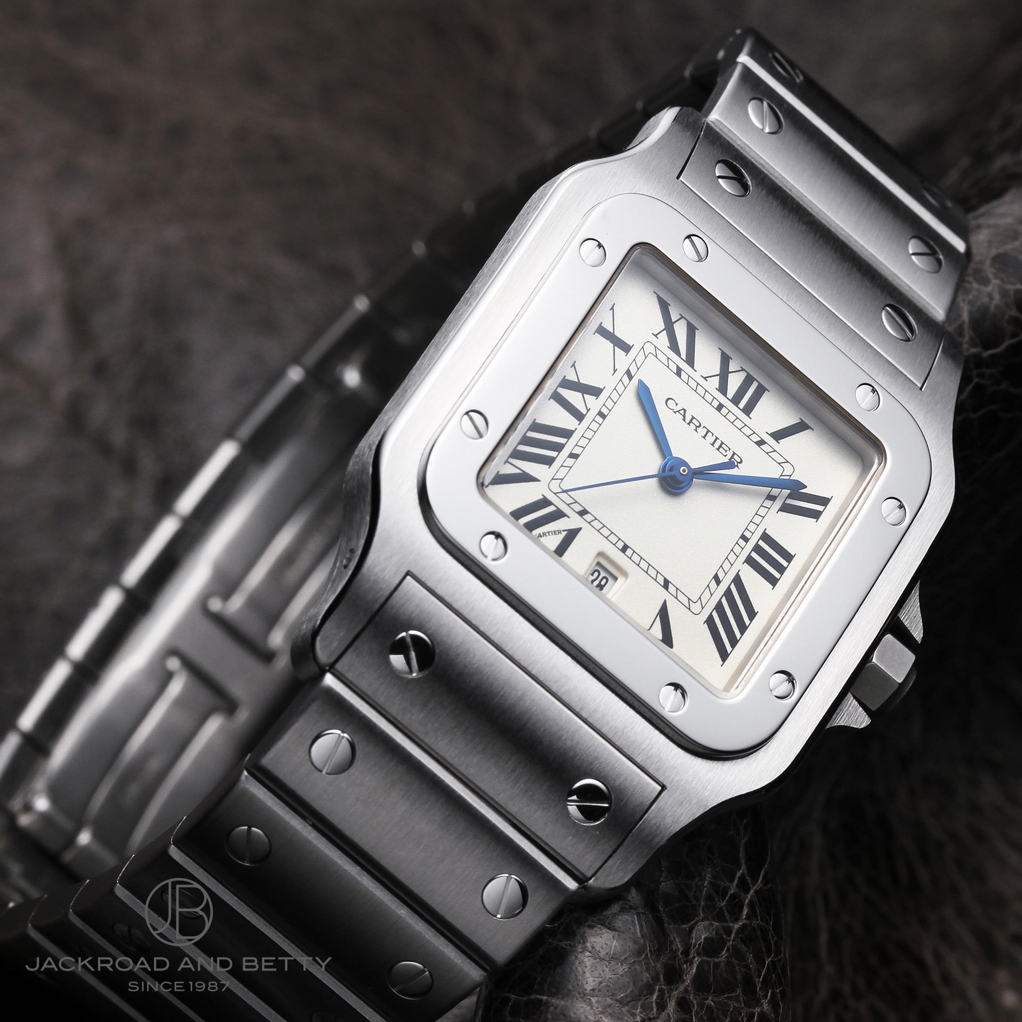 JeBG TgXEKxLM W20060D6 C[Wʐ^