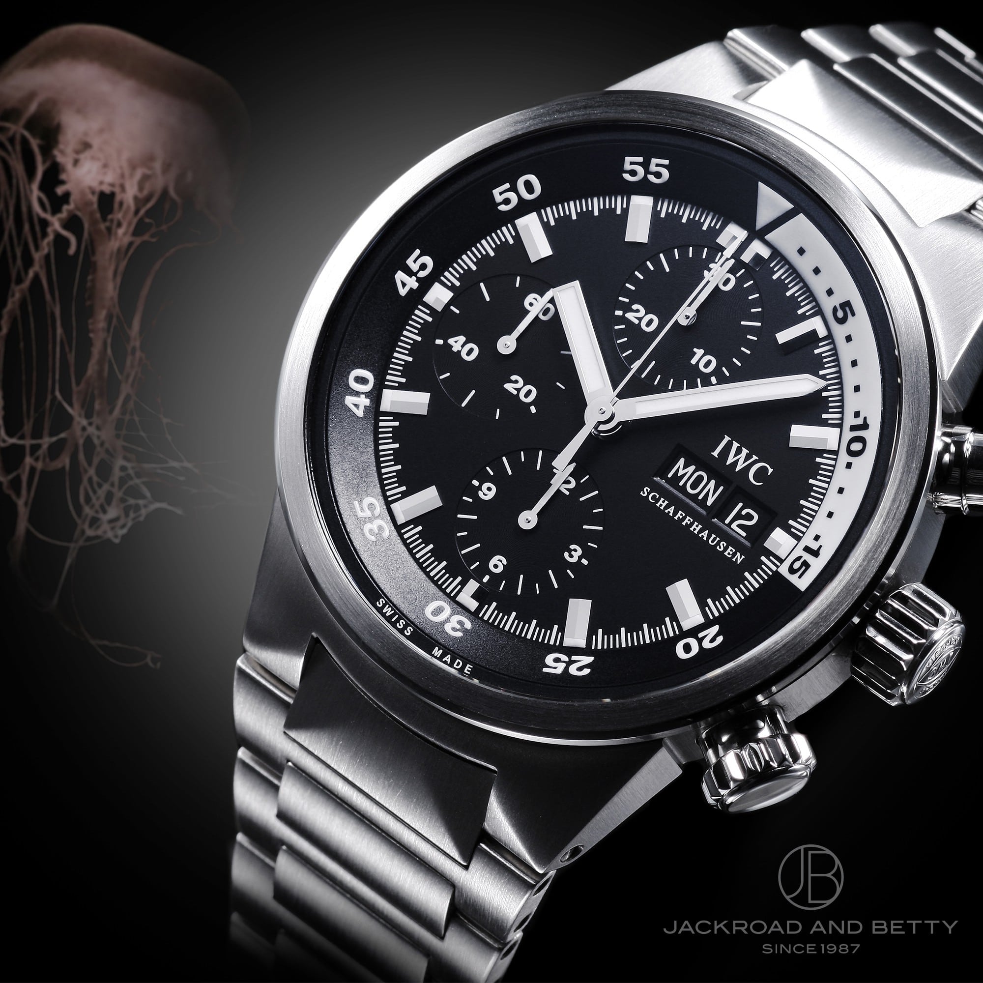 IWC ANA^C}[ NmOt I[g}eBbN IW371928 C[Wʐ^